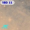 YBD 11