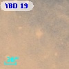 YBD 19