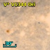 V* V1344 Ori