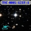 TYC 4005-1237-1