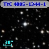 TYC 4005-1344-1