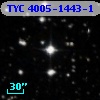 TYC 4005-1443-1