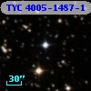 TYC 4005-1487-1