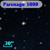 Parenago  1000