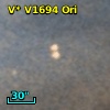 V* V1694 Ori