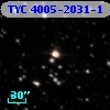 TYC 4005-2031-1