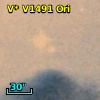 V* V1491 Ori