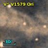 V* V1579 Ori