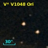 V* V1048 Ori