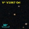 V* V1067 Ori