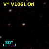 V* V1061 Ori