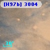 [H97b]  3004
