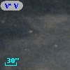 V* V1770 Ori