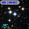 HD 240492