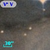V* V1614 Ori