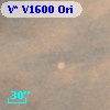 V* V1600 Ori