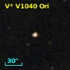 V* V1040 Ori