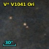 V* V1041 Ori