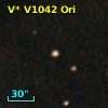 V* V1042 Ori