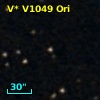 V* V1049 Ori