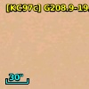 [KC97c] G208.9-19.3