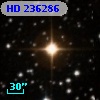 HD 236286