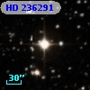 HD 236291