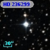 HD 236299