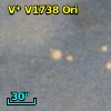 V* V1738 Ori