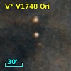 V* V1748 Ori