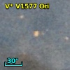V* V1577 Ori