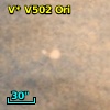 V* V502 Ori