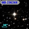 HD 236289