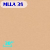 MLLA   38
