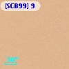 [SCB99]   9