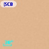 [SCB99]  46