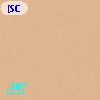 [SCB99] 204