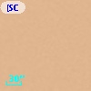 [SCB99] 217