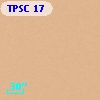 TPSC 17
