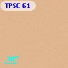 TPSC 61