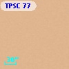TPSC 77