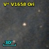 V* V1658 Ori