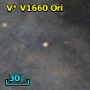 V* V1660 Ori