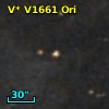 V* V1661 Ori