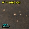 V* V1662 Ori