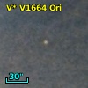V* V1664 Ori