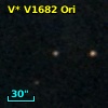 V* V1682 Ori