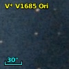 V* V1685 Ori