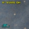 V* V1691 Ori