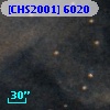 [CHS2001]  6020